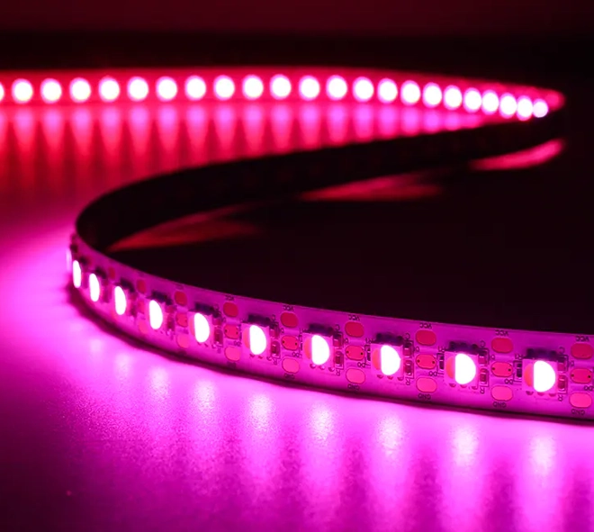 SMD LED Strips