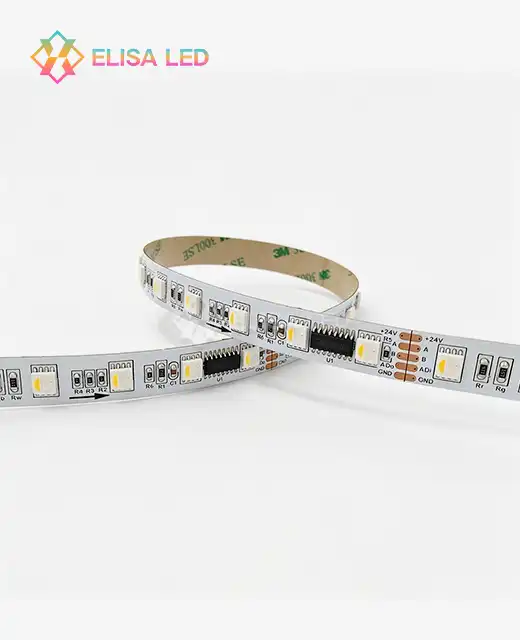 60LEDs/m 24V DMX 5050 RGBW